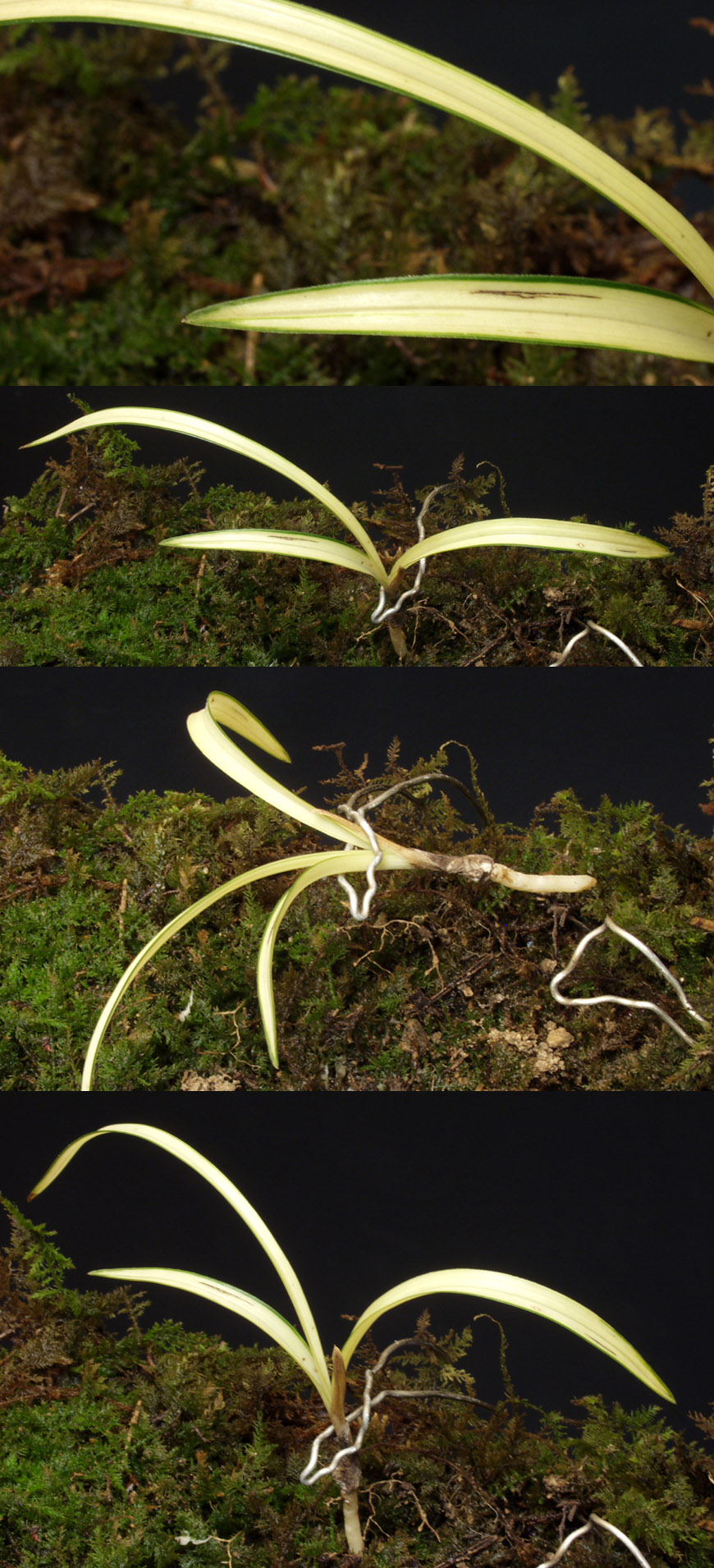 ������ ū������ �� �� �ֽ��ϴ�.