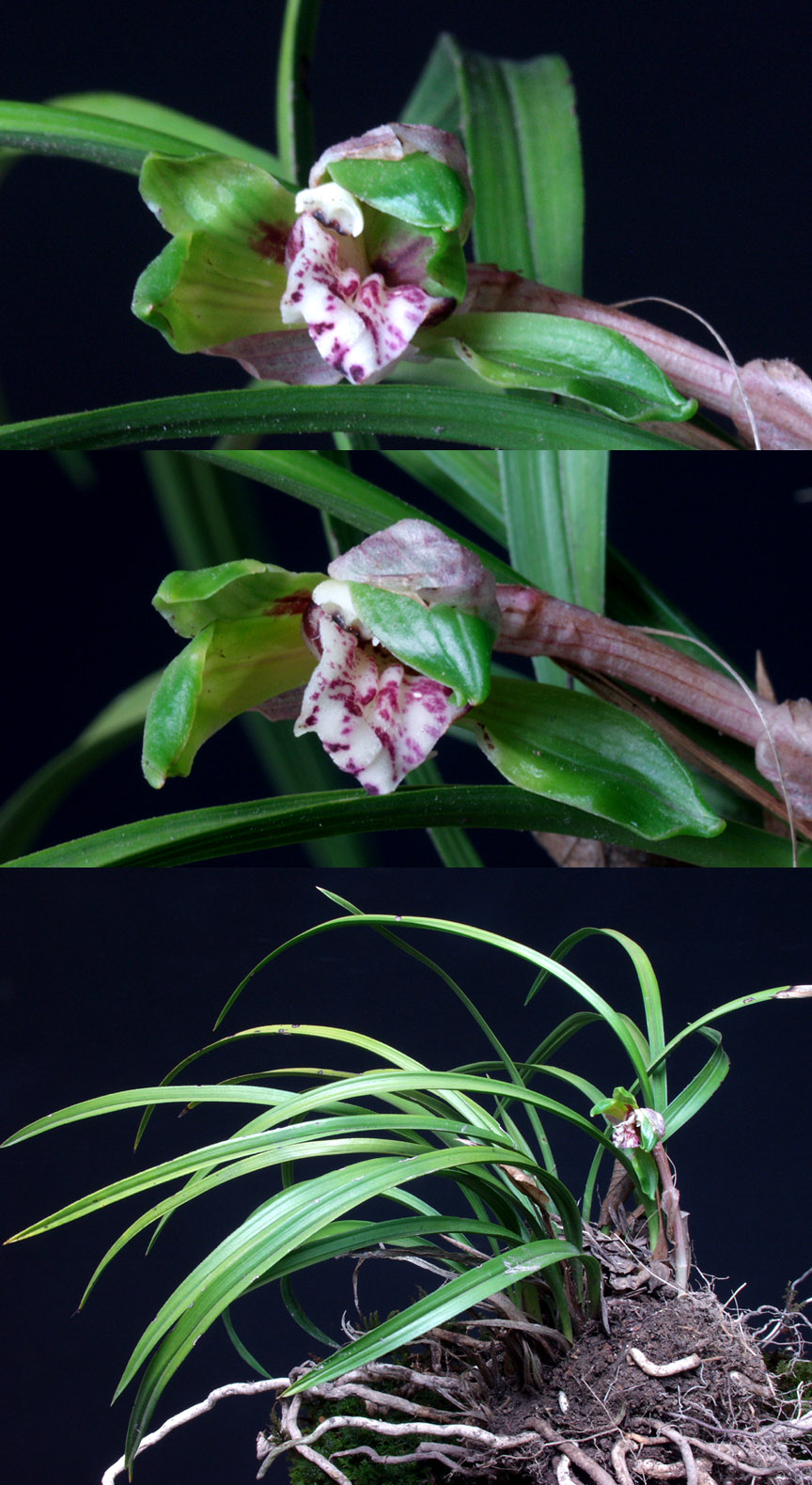 ������ ū������ �� �� �ֽ��ϴ�.