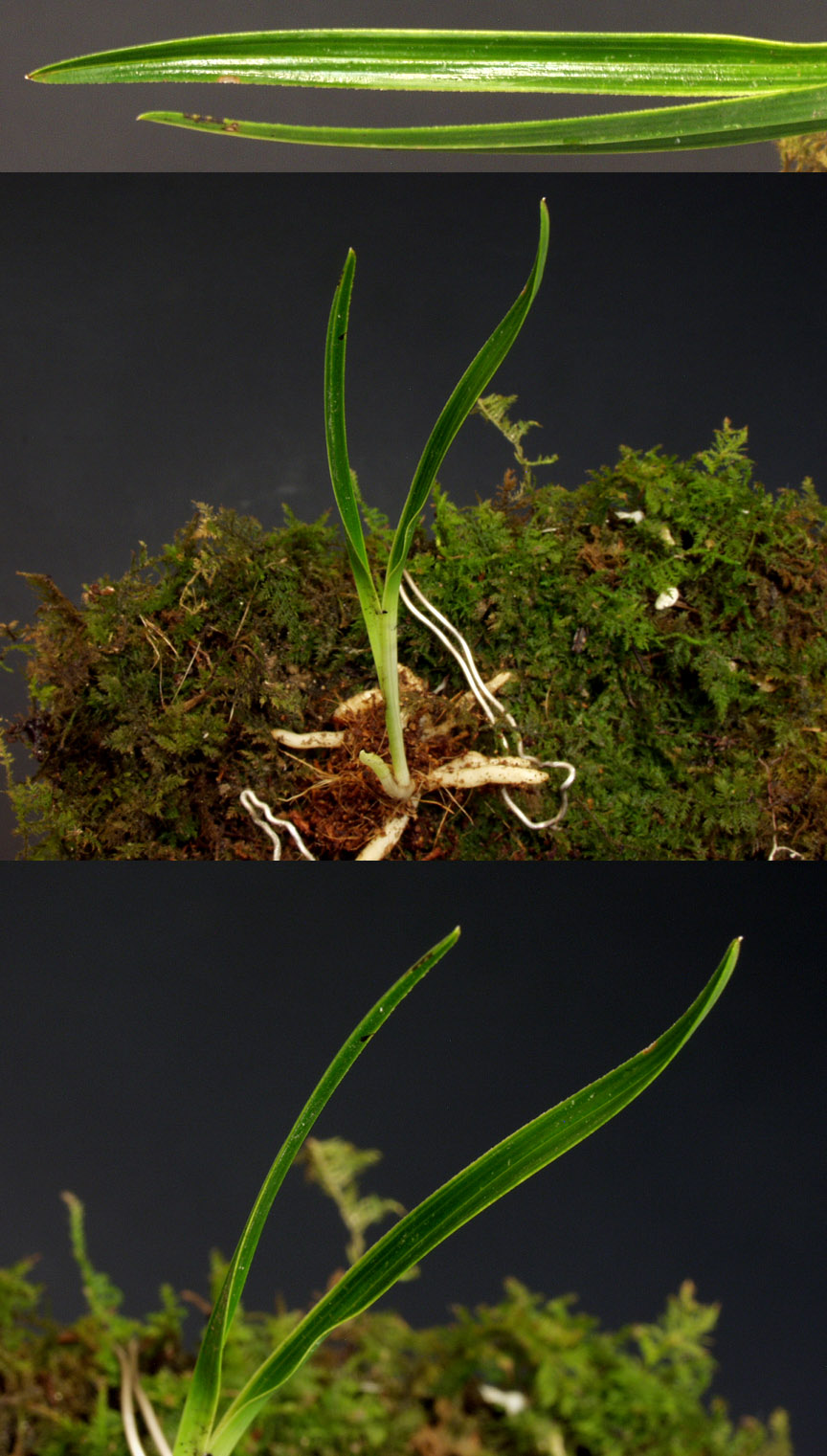 ������ ū������ �� �� �ֽ��ϴ�.