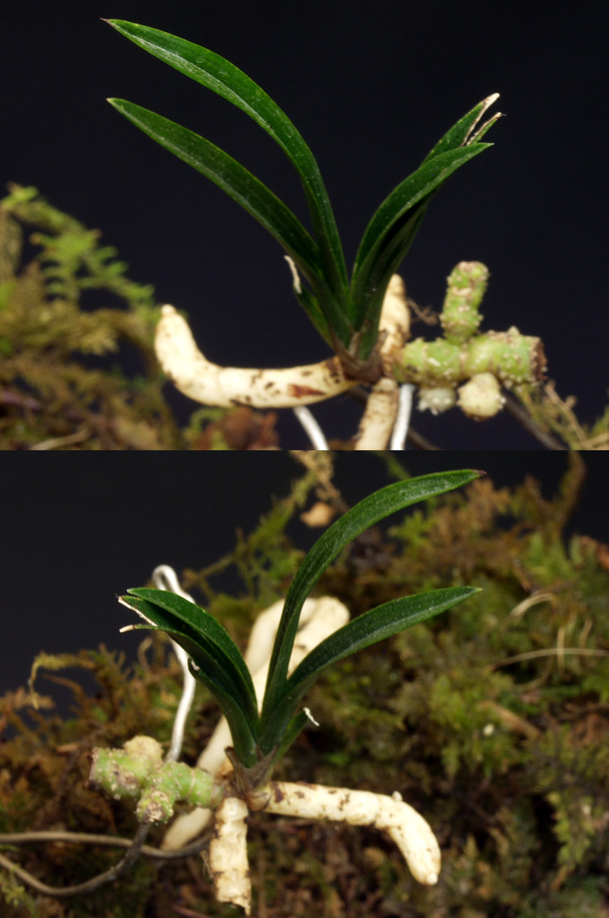 ������ ū������ �� �� �ֽ��ϴ�.