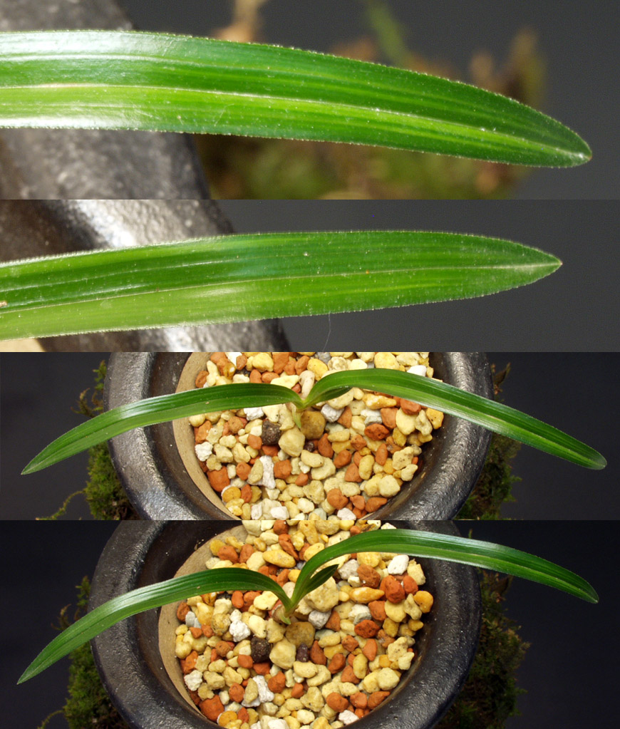 ������ ū������ �� �� �ֽ��ϴ�.