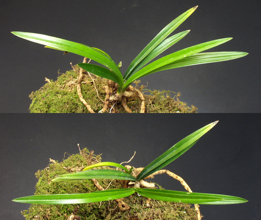 ������ ū������ �� �� �ֽ��ϴ�.