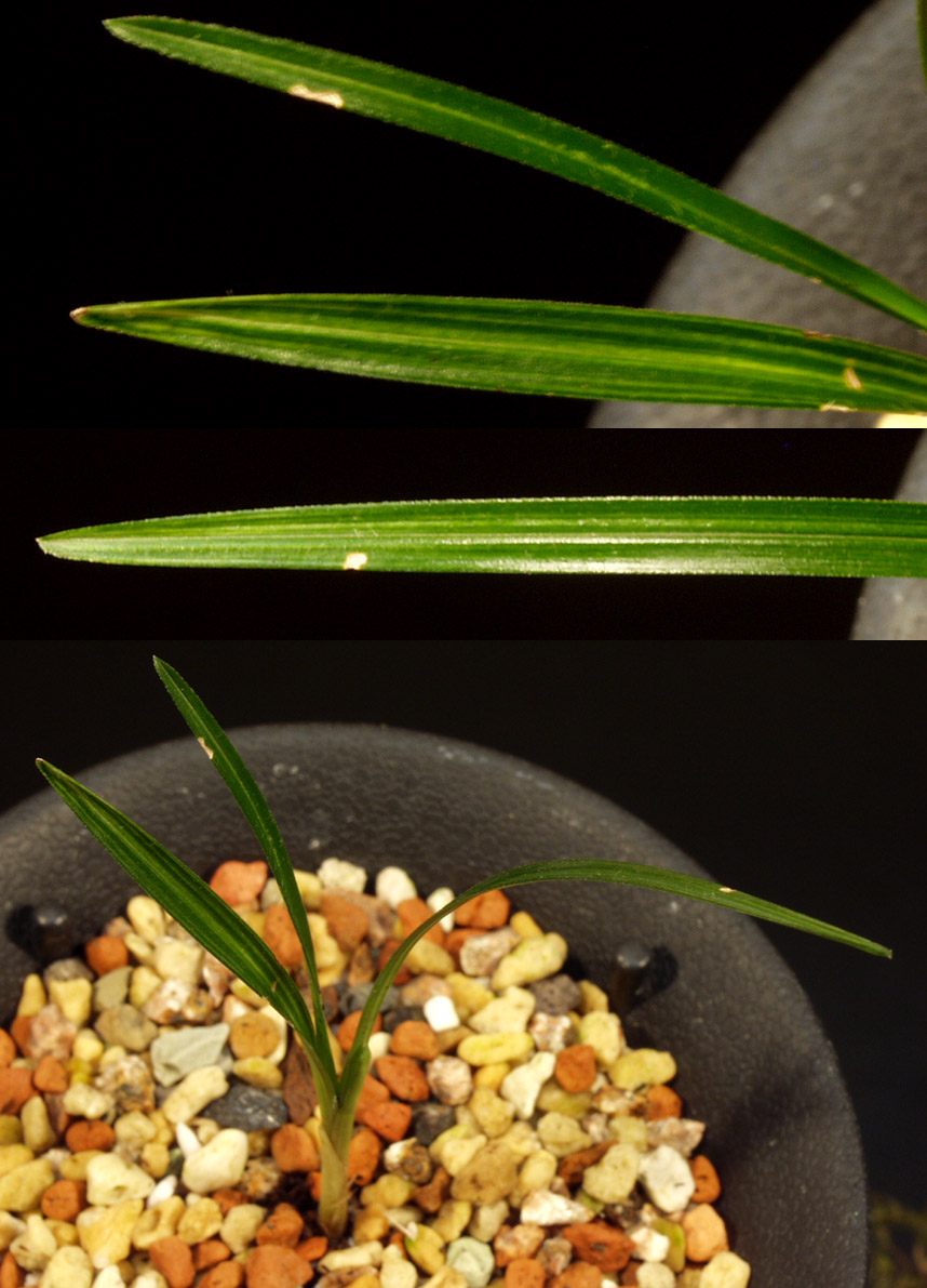 ������ ū������ �� �� �ֽ��ϴ�.