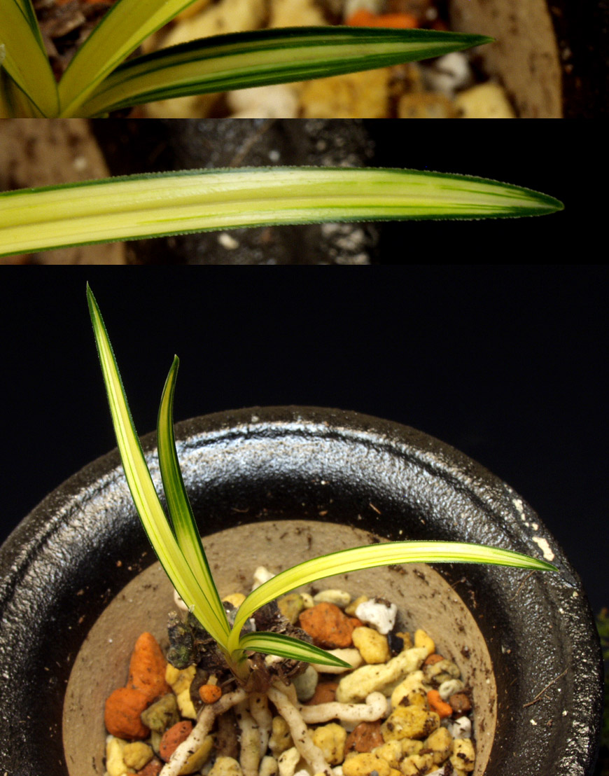 ������ ū������ �� �� �ֽ��ϴ�.