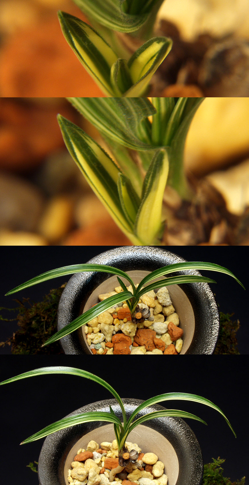 ������ ū������ �� �� �ֽ��ϴ�.