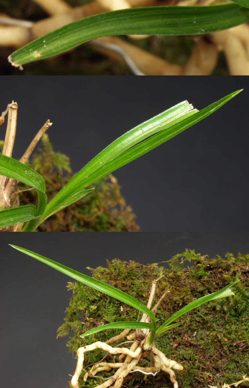 ������ ū������ �� �� �ֽ��ϴ�.