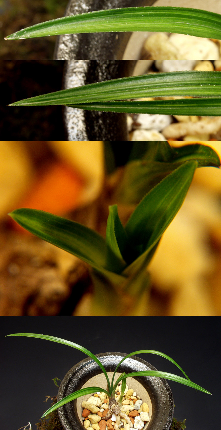 ������ ū������ �� �� �ֽ��ϴ�.