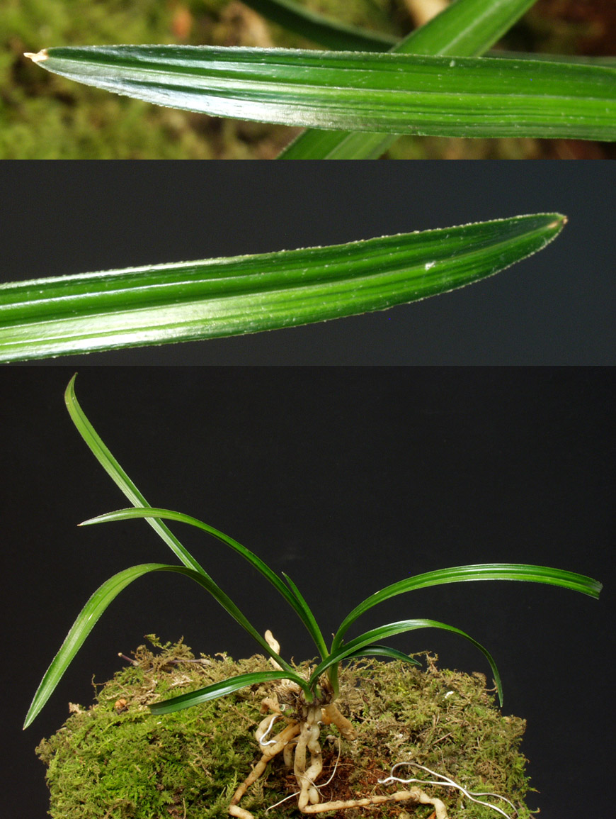 ������ ū������ �� �� �ֽ��ϴ�.