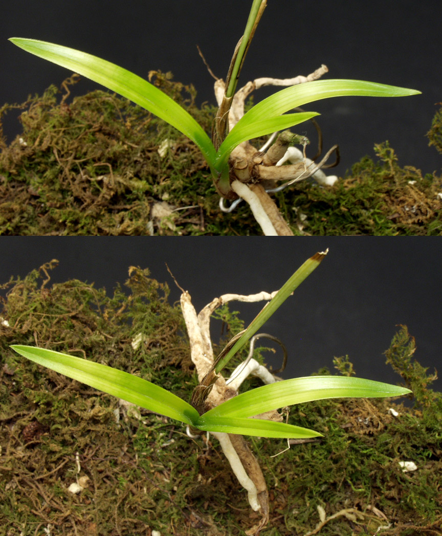 ������ ū������ �� �� �ֽ��ϴ�.