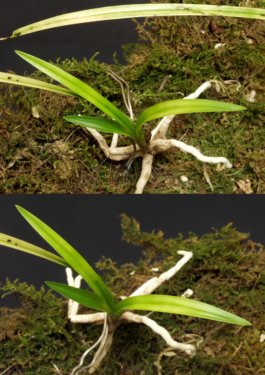 ������ ū������ �� �� �ֽ��ϴ�.