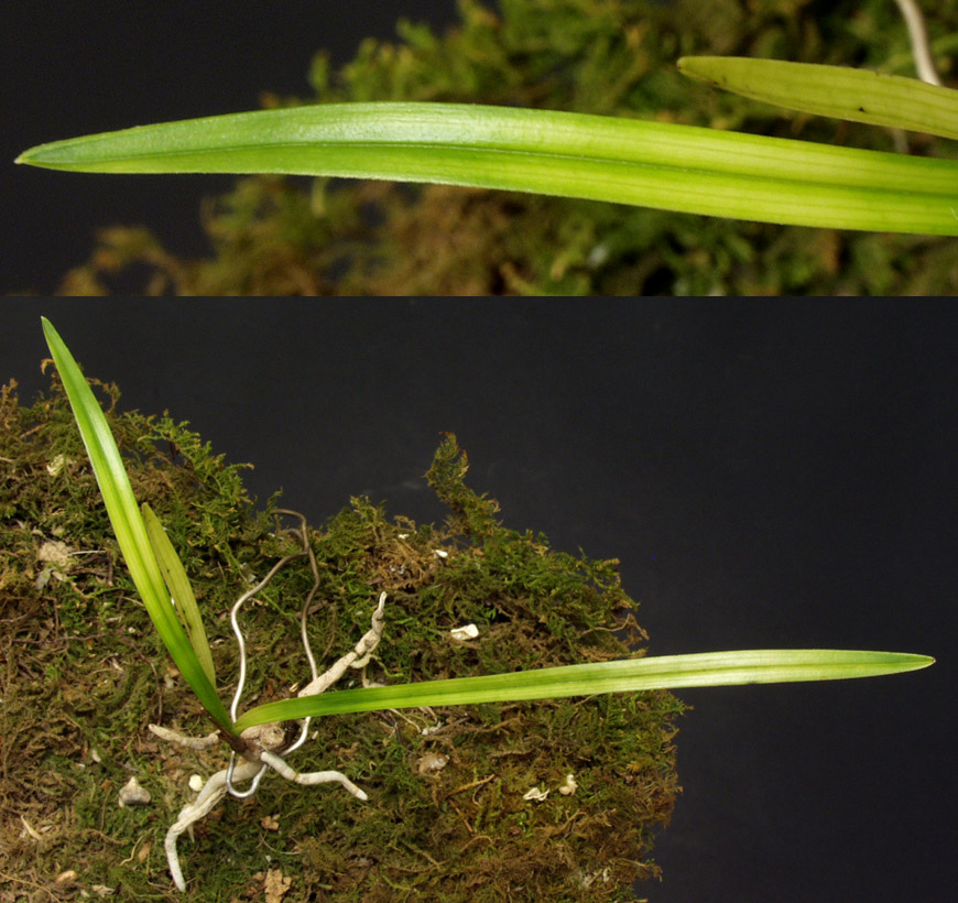 ������ ū������ �� �� �ֽ��ϴ�.