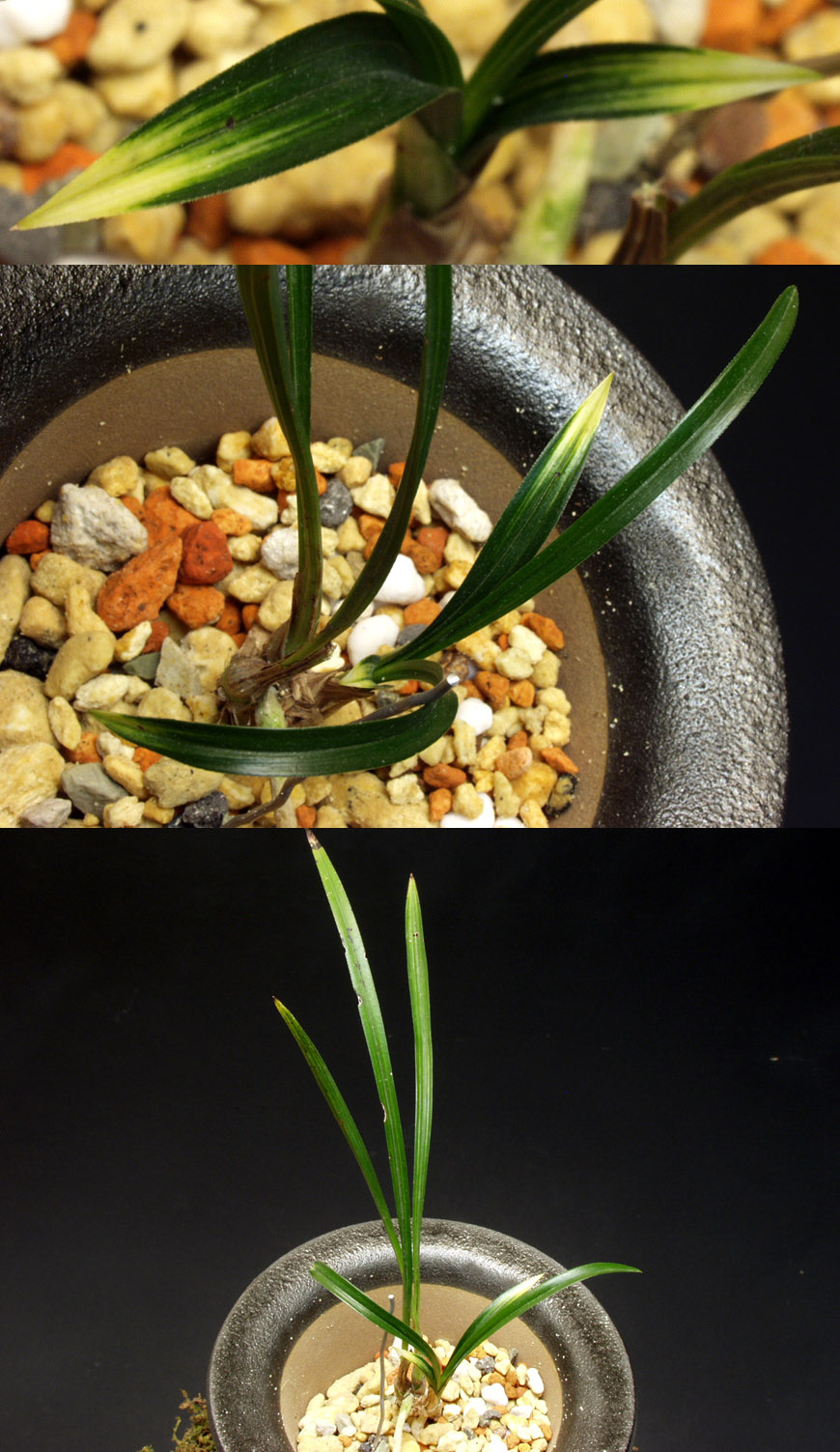 ������ ū������ �� �� �ֽ��ϴ�.