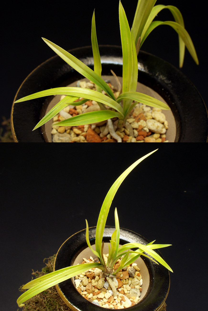 ������ ū������ �� �� �ֽ��ϴ�.