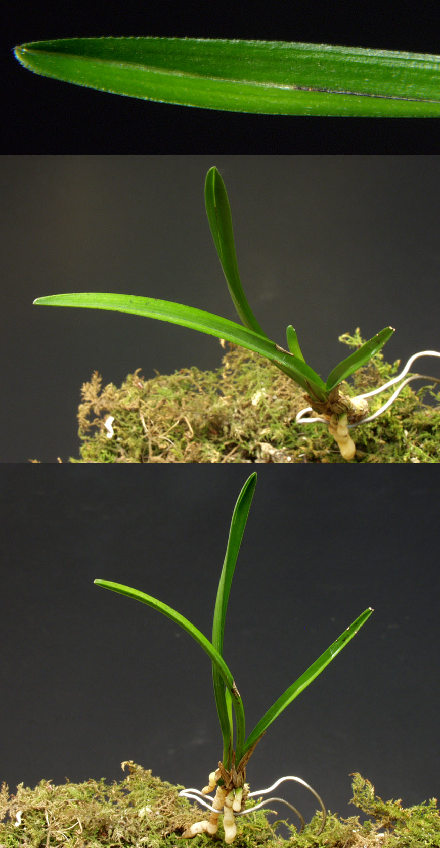 ������ ū������ �� �� �ֽ��ϴ�.