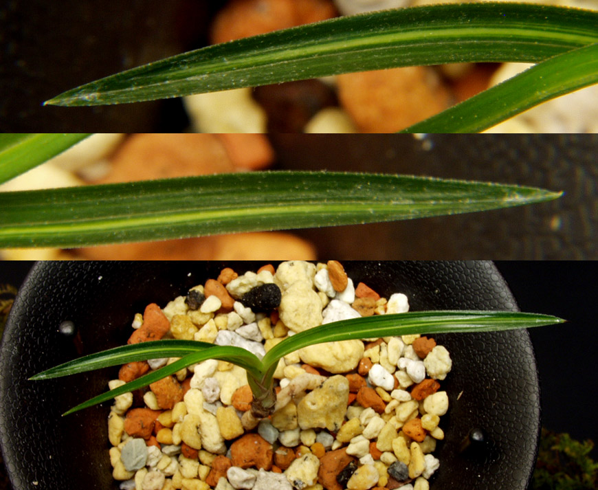 ������ ū������ �� �� �ֽ��ϴ�.