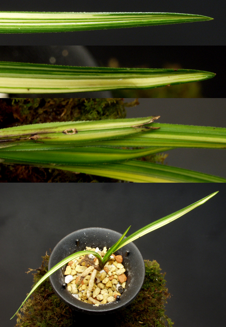 ������ ū������ �� �� �ֽ��ϴ�.