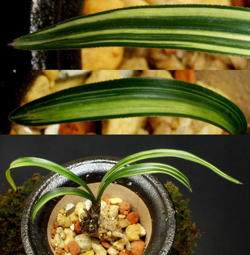 ������ ū������ �� �� �ֽ��ϴ�.