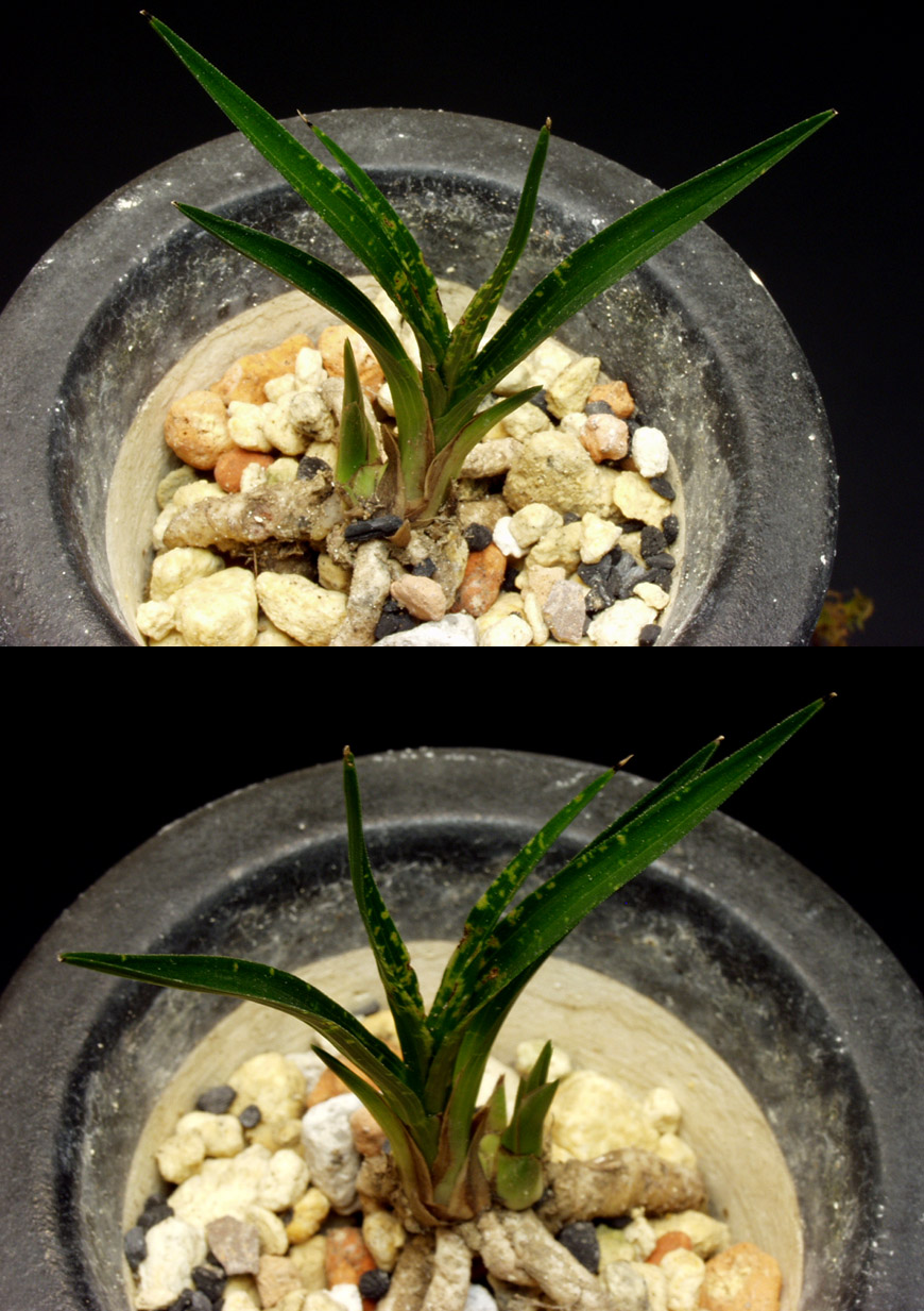 ������ ū������ �� �� �ֽ��ϴ�.