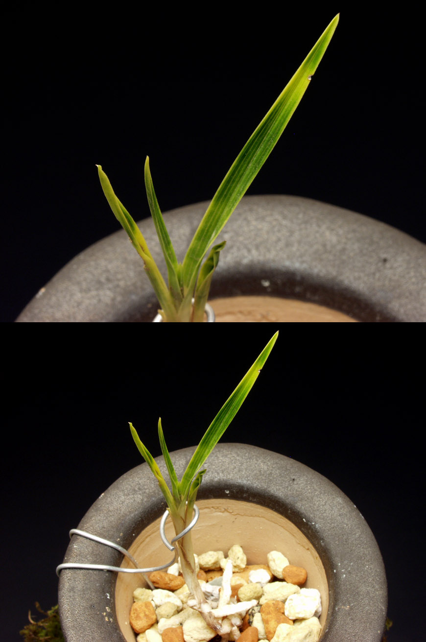 ������ ū������ �� �� �ֽ��ϴ�.