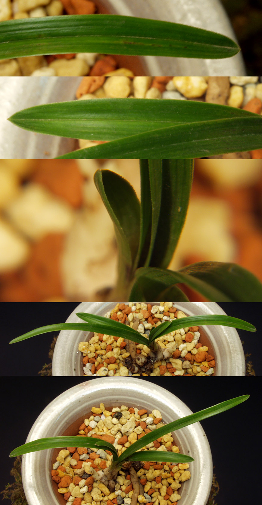 ������ ū������ �� �� �ֽ��ϴ�.