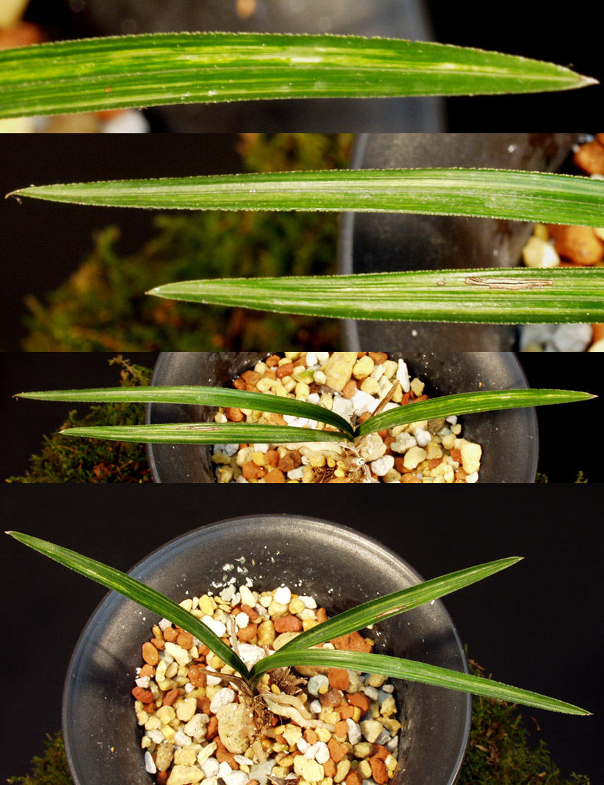 ������ ū������ �� �� �ֽ��ϴ�.