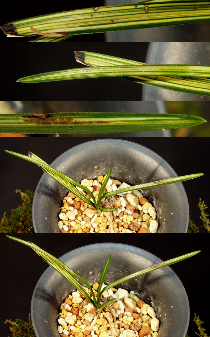 ������ ū������ �� �� �ֽ��ϴ�.