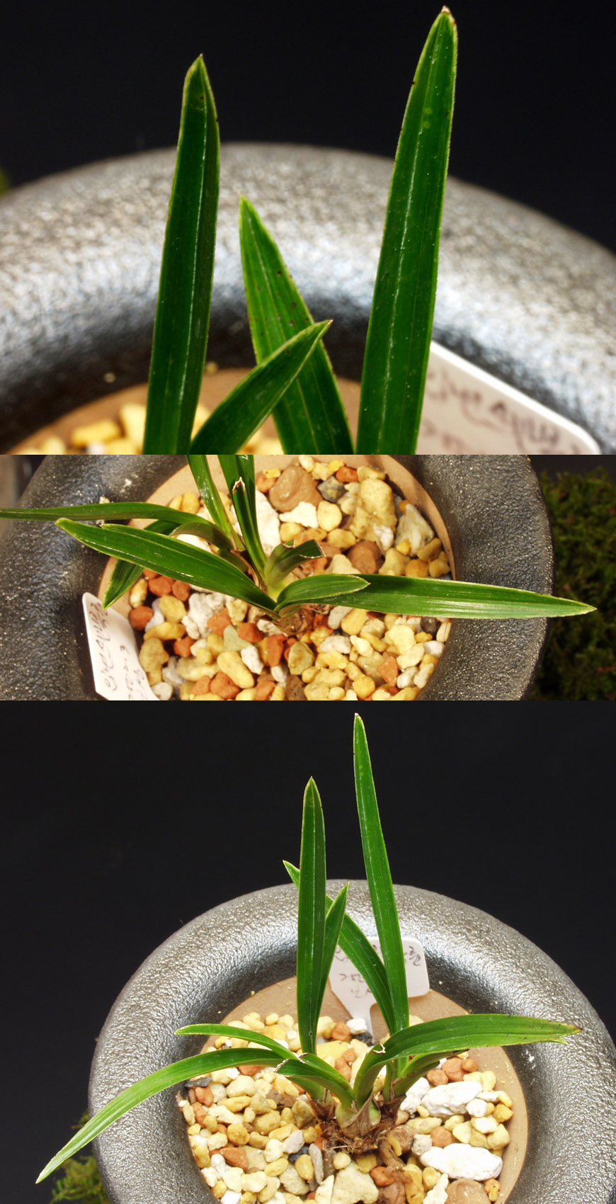 ������ ū������ �� �� �ֽ��ϴ�.