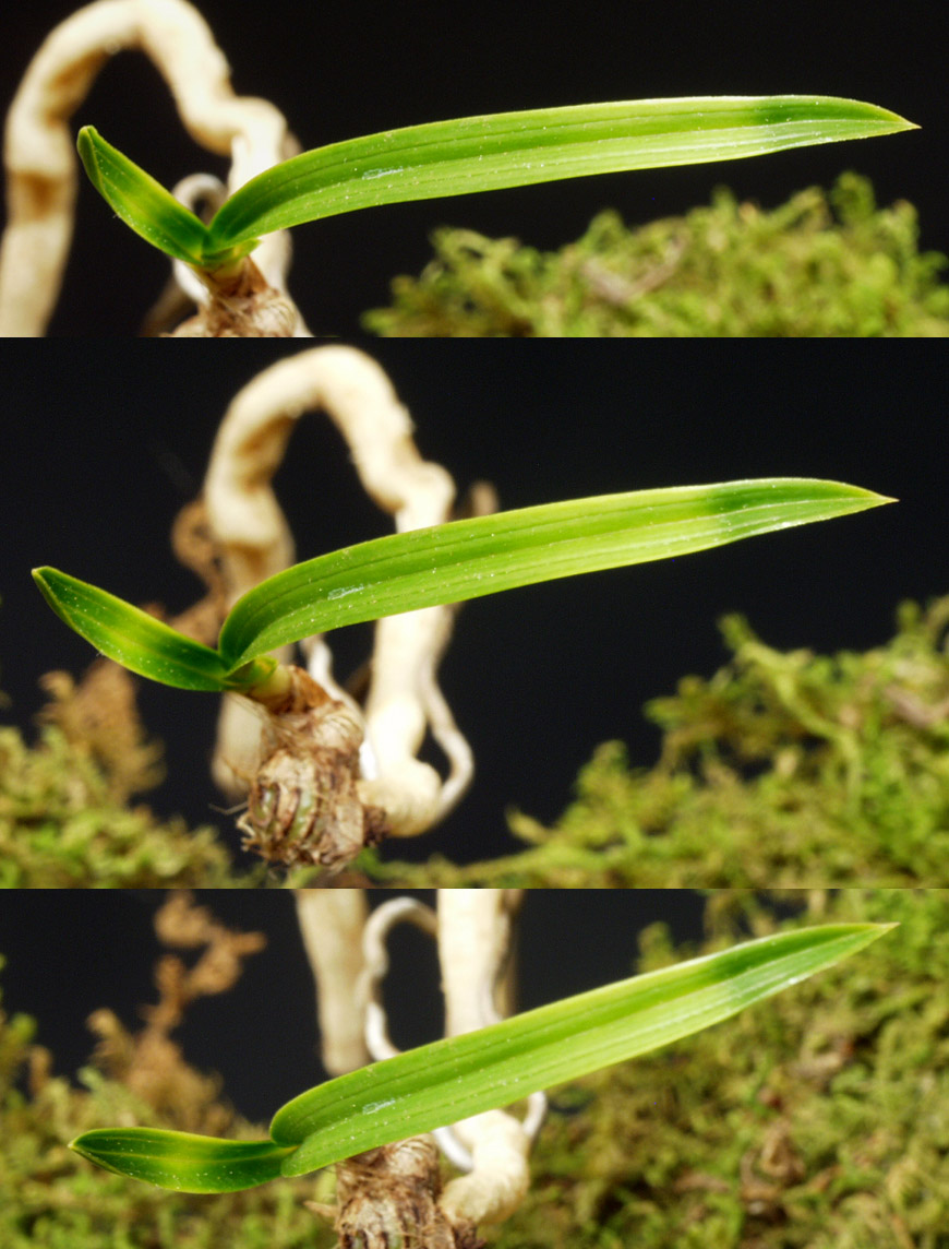 ������ ū������ �� �� �ֽ��ϴ�.