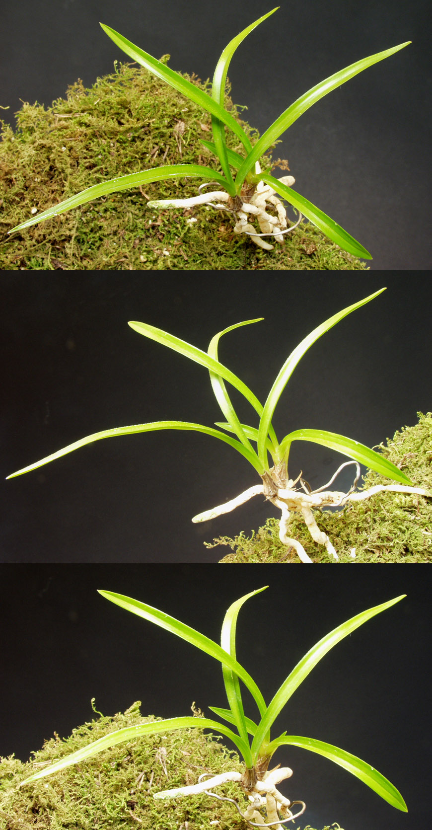 ������ ū������ �� �� �ֽ��ϴ�.