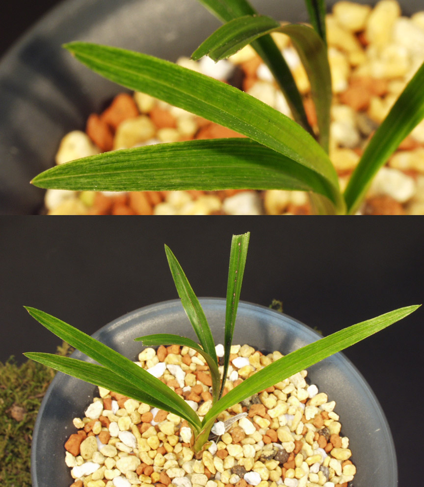 ������ ū������ �� �� �ֽ��ϴ�.