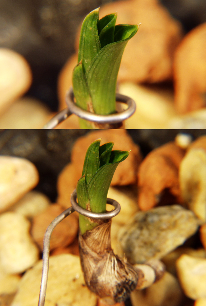 ������ ū������ �� �� �ֽ��ϴ�.