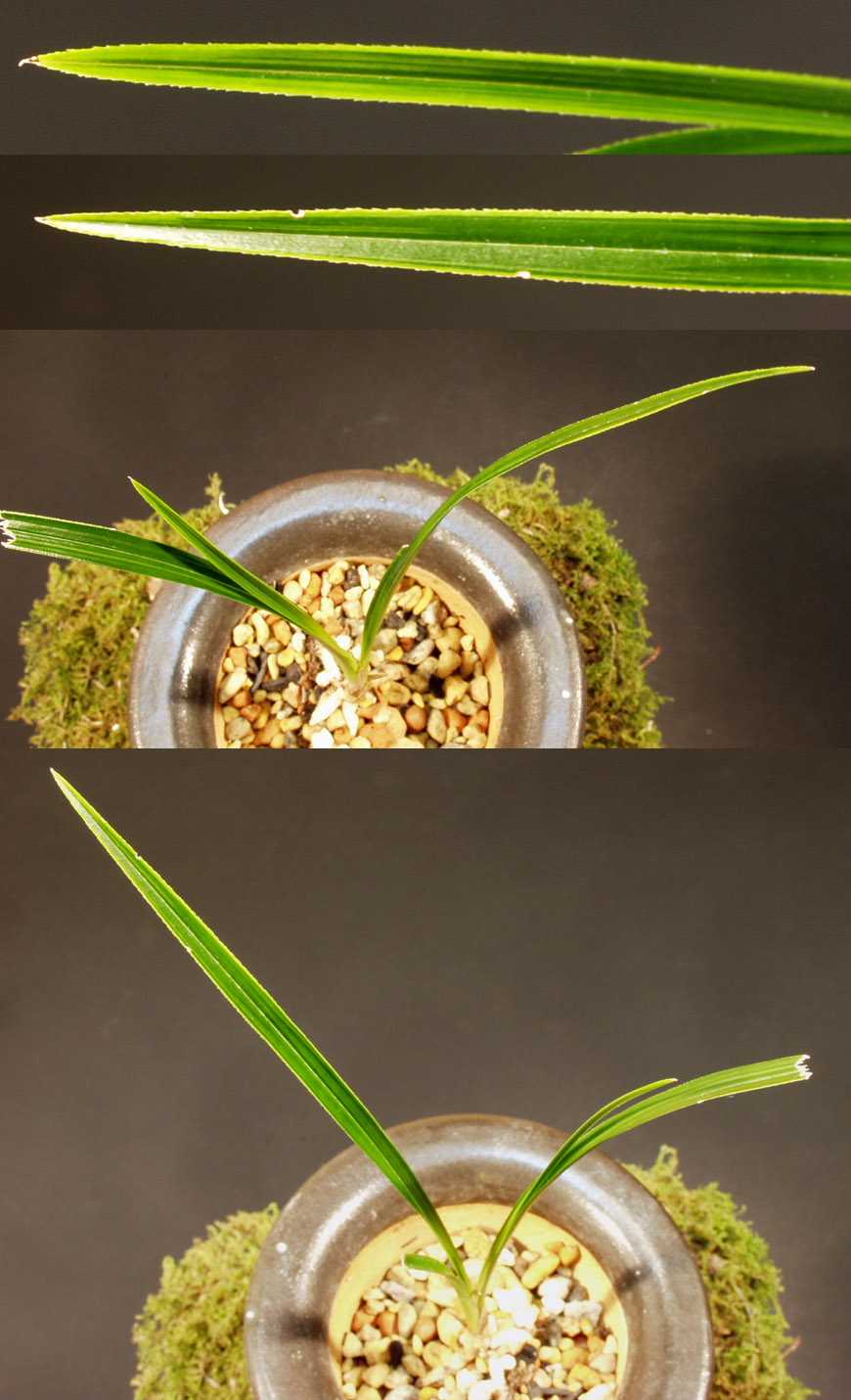 ������ ū������ �� �� �ֽ��ϴ�.