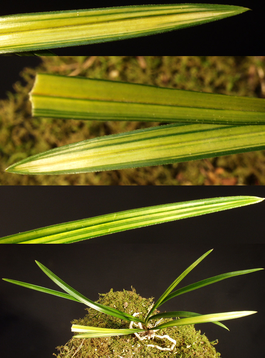 ������ ū������ �� �� �ֽ��ϴ�.