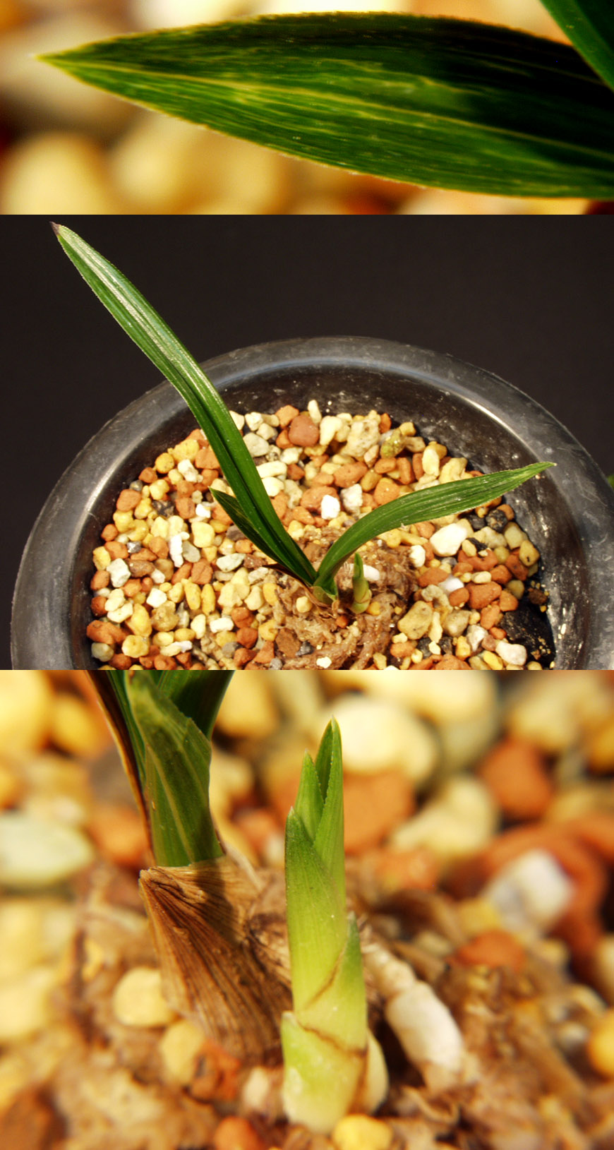 ������ ū������ �� �� �ֽ��ϴ�.