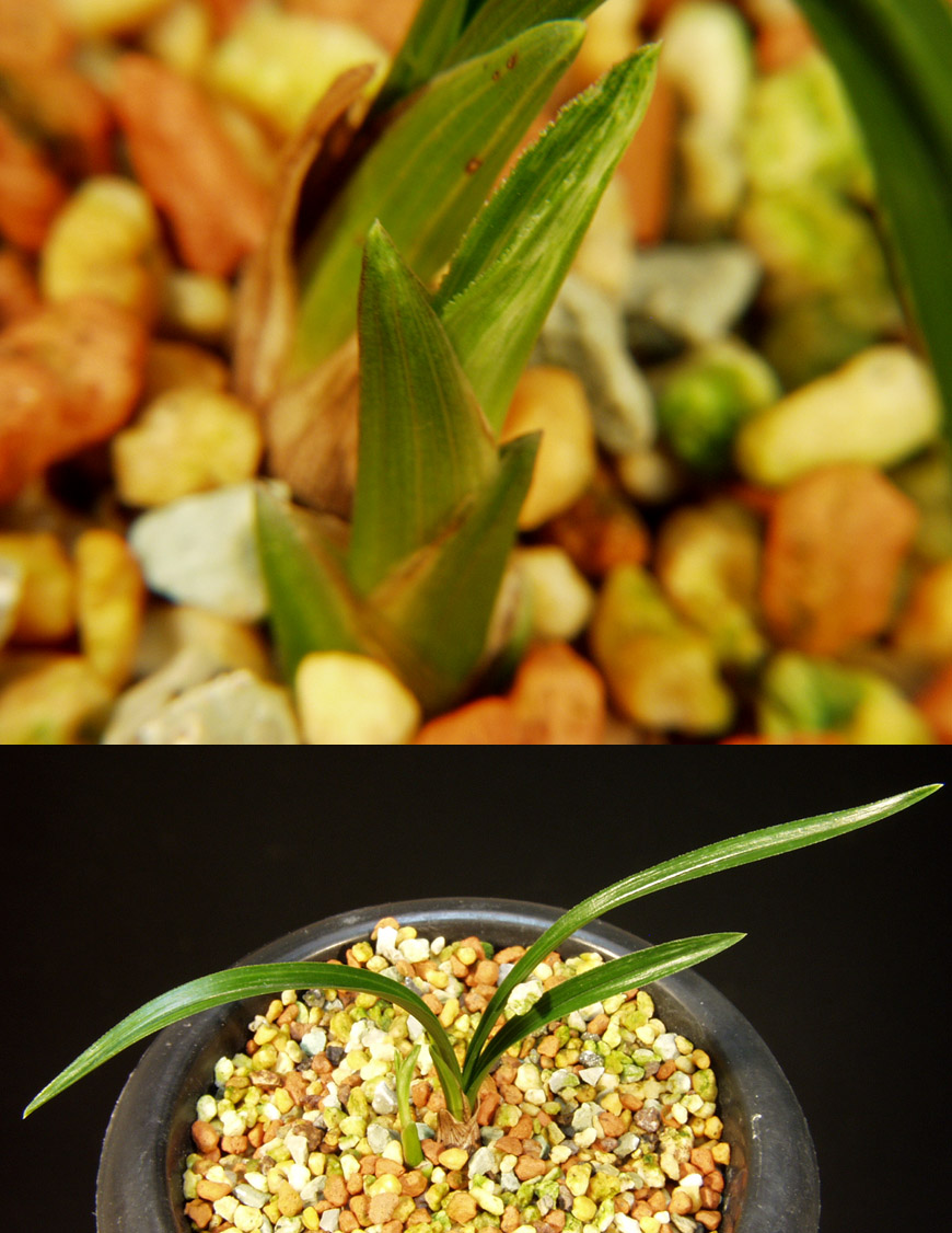 ������ ū������ �� �� �ֽ��ϴ�.