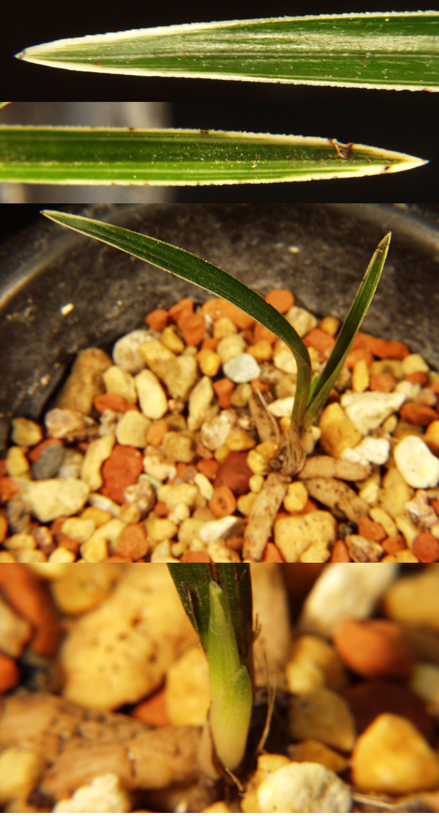 ������ ū������ �� �� �ֽ��ϴ�.