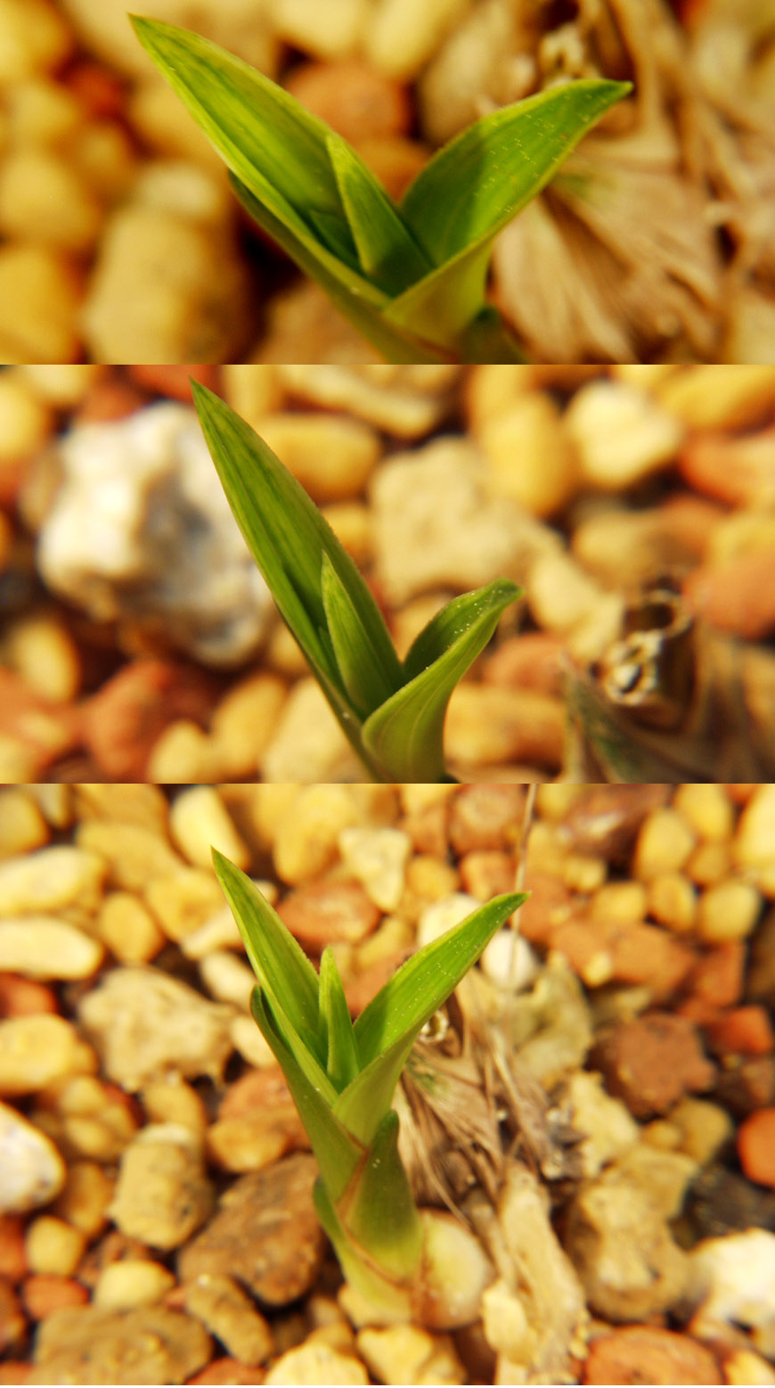 ������ ū������ �� �� �ֽ��ϴ�.