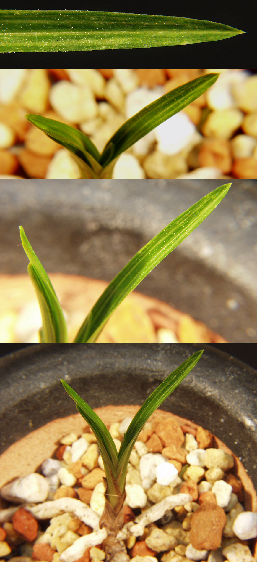 ������ ū������ �� �� �ֽ��ϴ�.