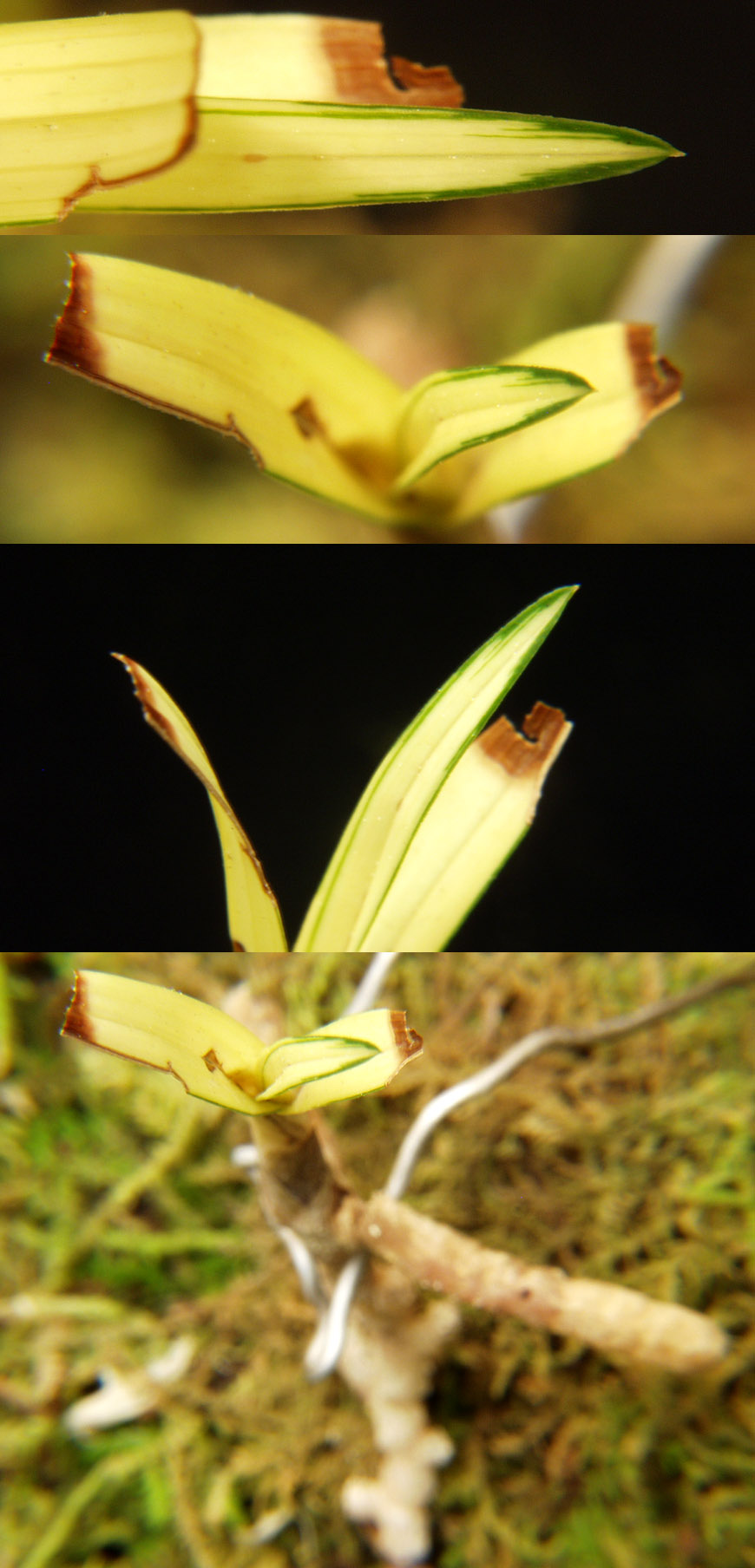 ������ ū������ �� �� �ֽ��ϴ�.