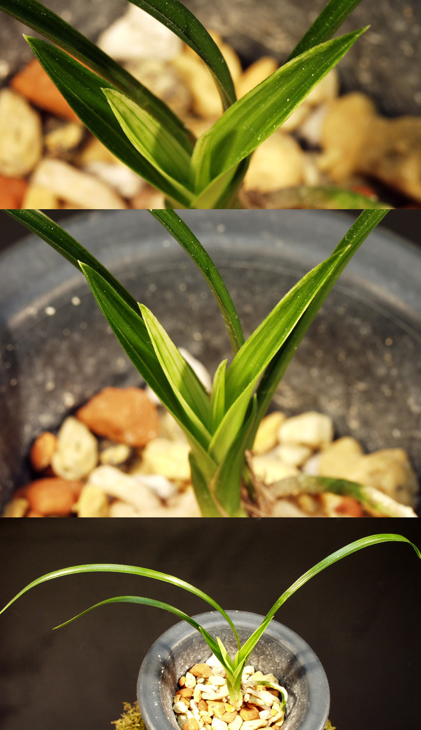 ������ ū������ �� �� �ֽ��ϴ�.