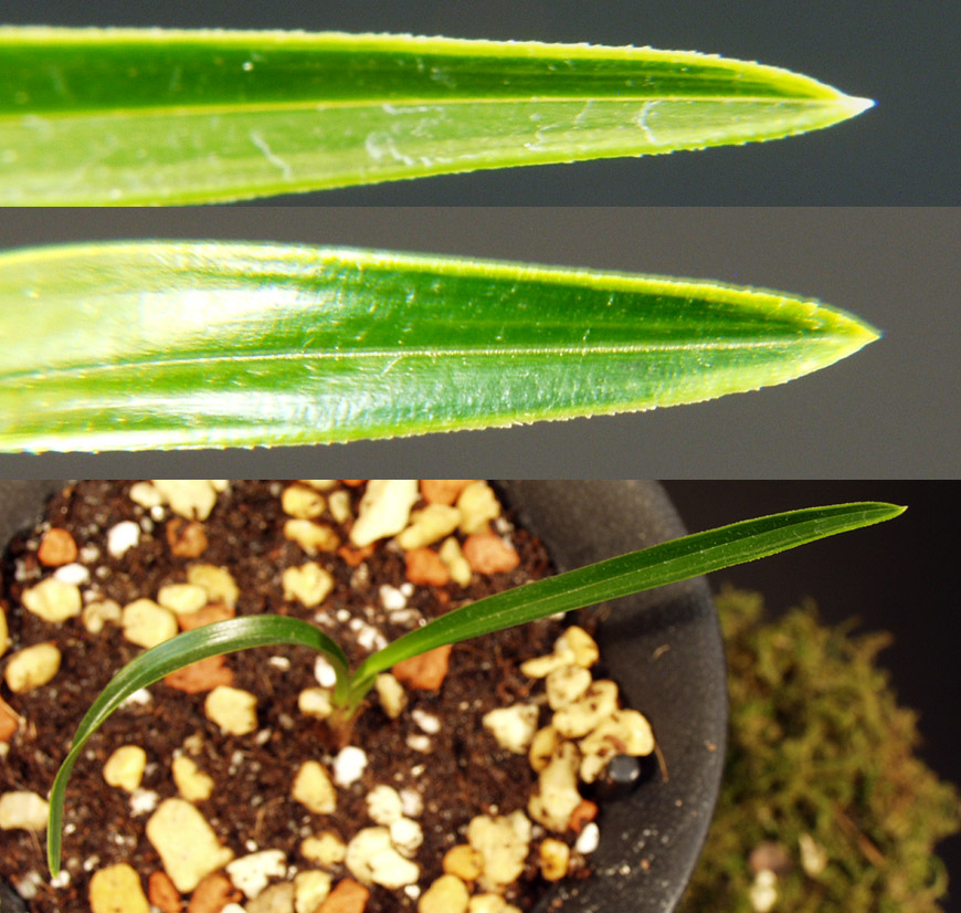 ������ ū������ �� �� �ֽ��ϴ�.