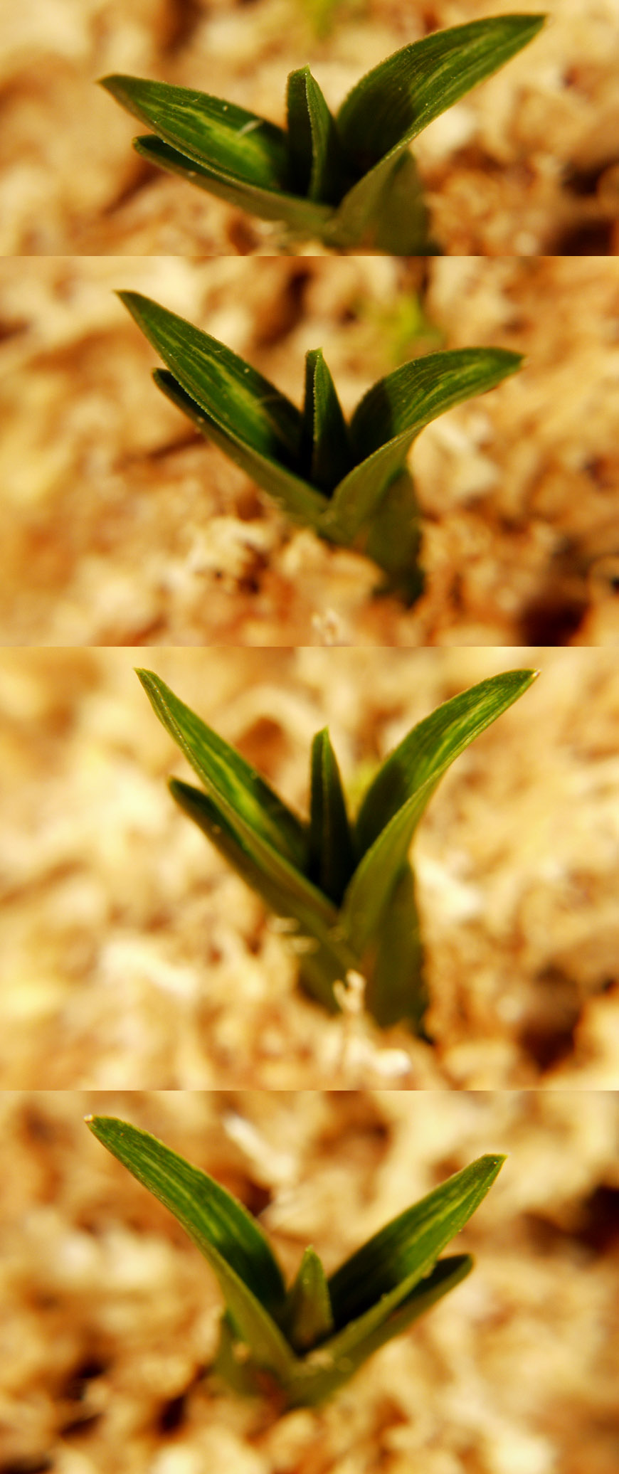 ������ ū������ �� �� �ֽ��ϴ�.