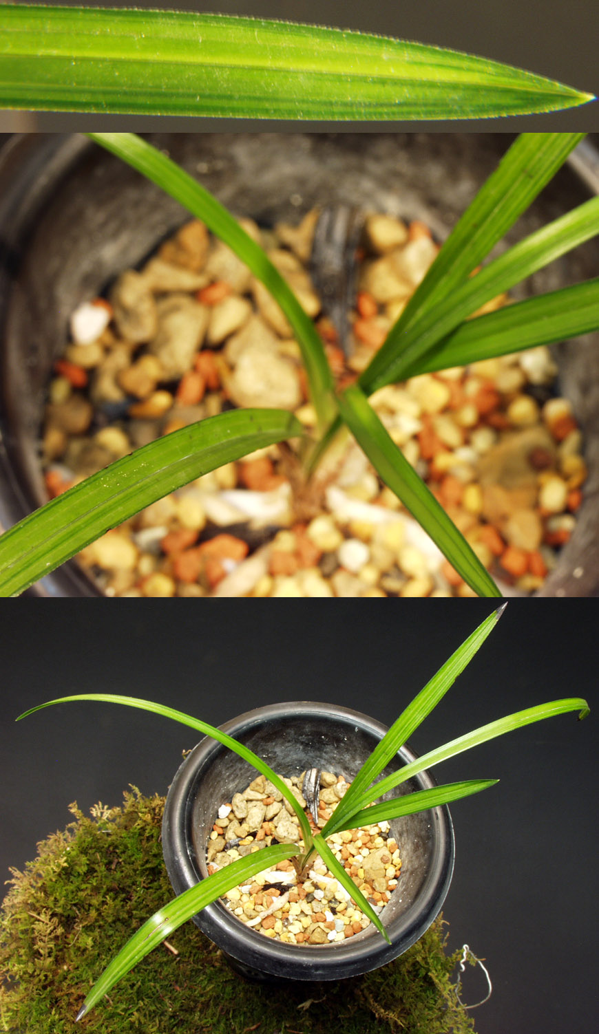 ������ ū������ �� �� �ֽ��ϴ�.