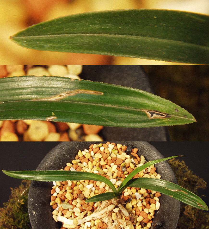 ������ ū������ �� �� �ֽ��ϴ�.