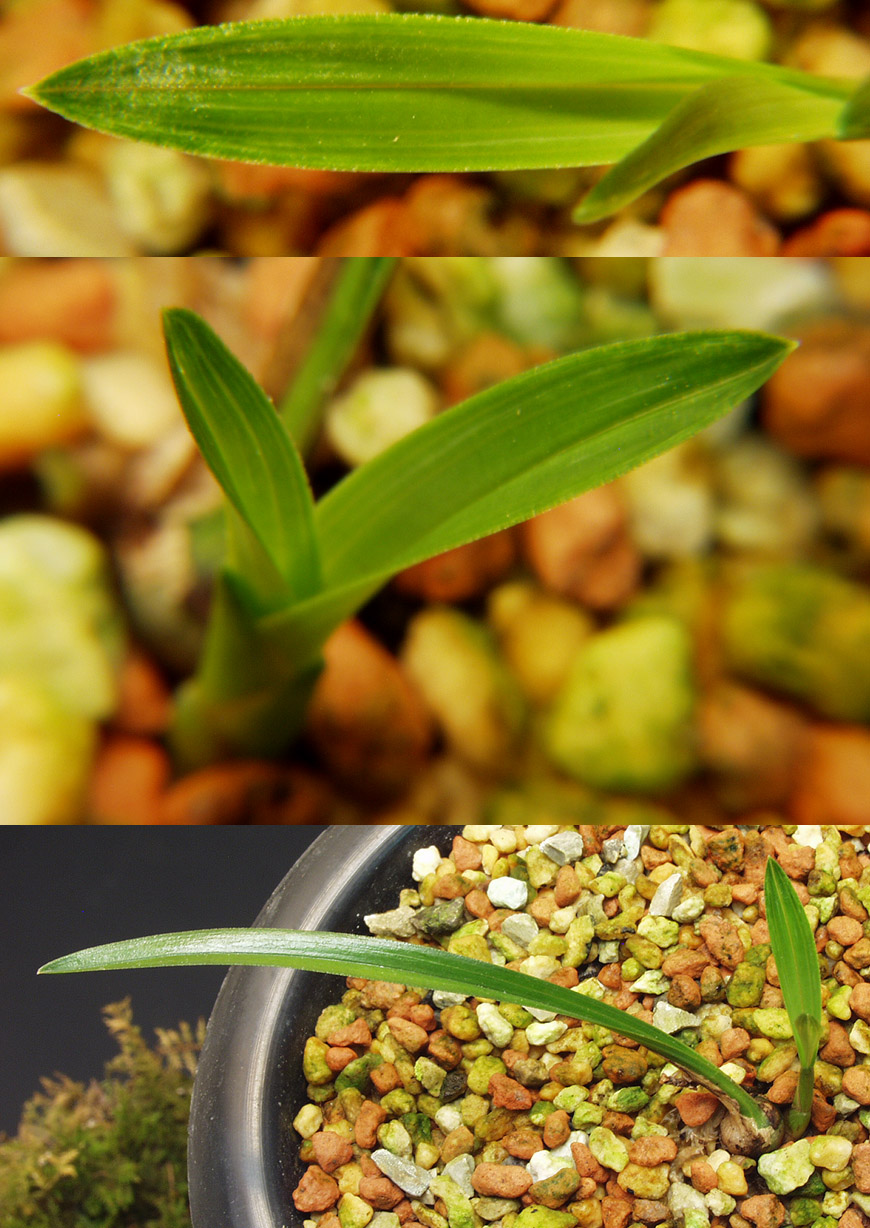 ������ ū������ �� �� �ֽ��ϴ�.