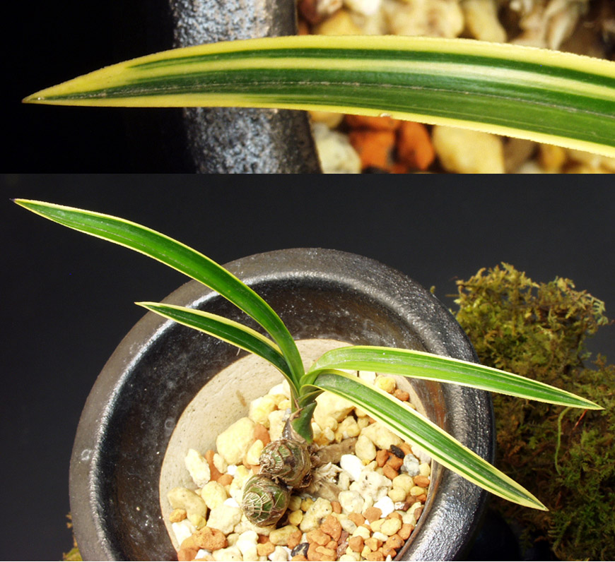 ������ ū������ �� �� �ֽ��ϴ�.