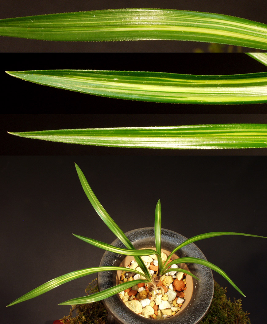 ������ ū������ �� �� �ֽ��ϴ�.