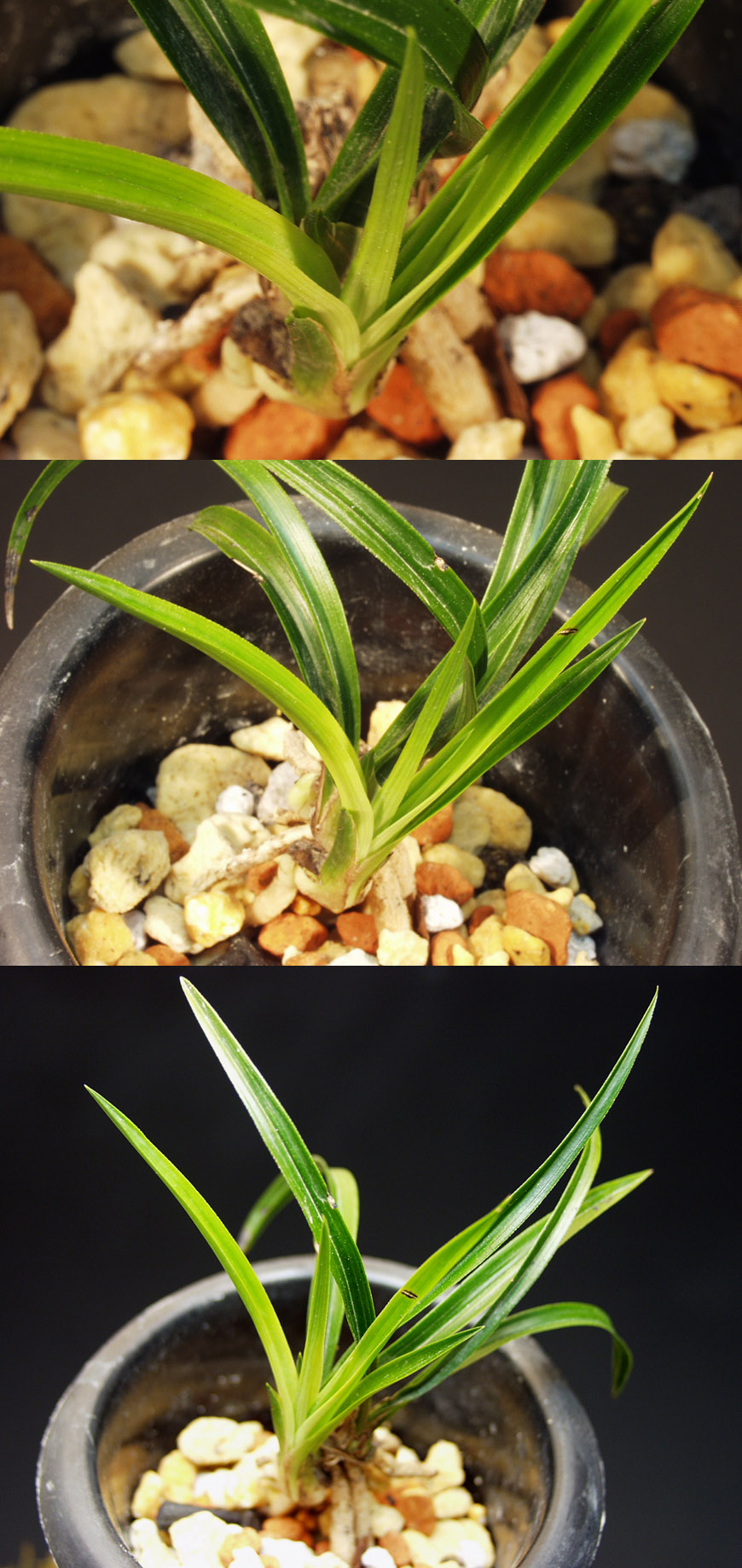 ������ ū������ �� �� �ֽ��ϴ�.