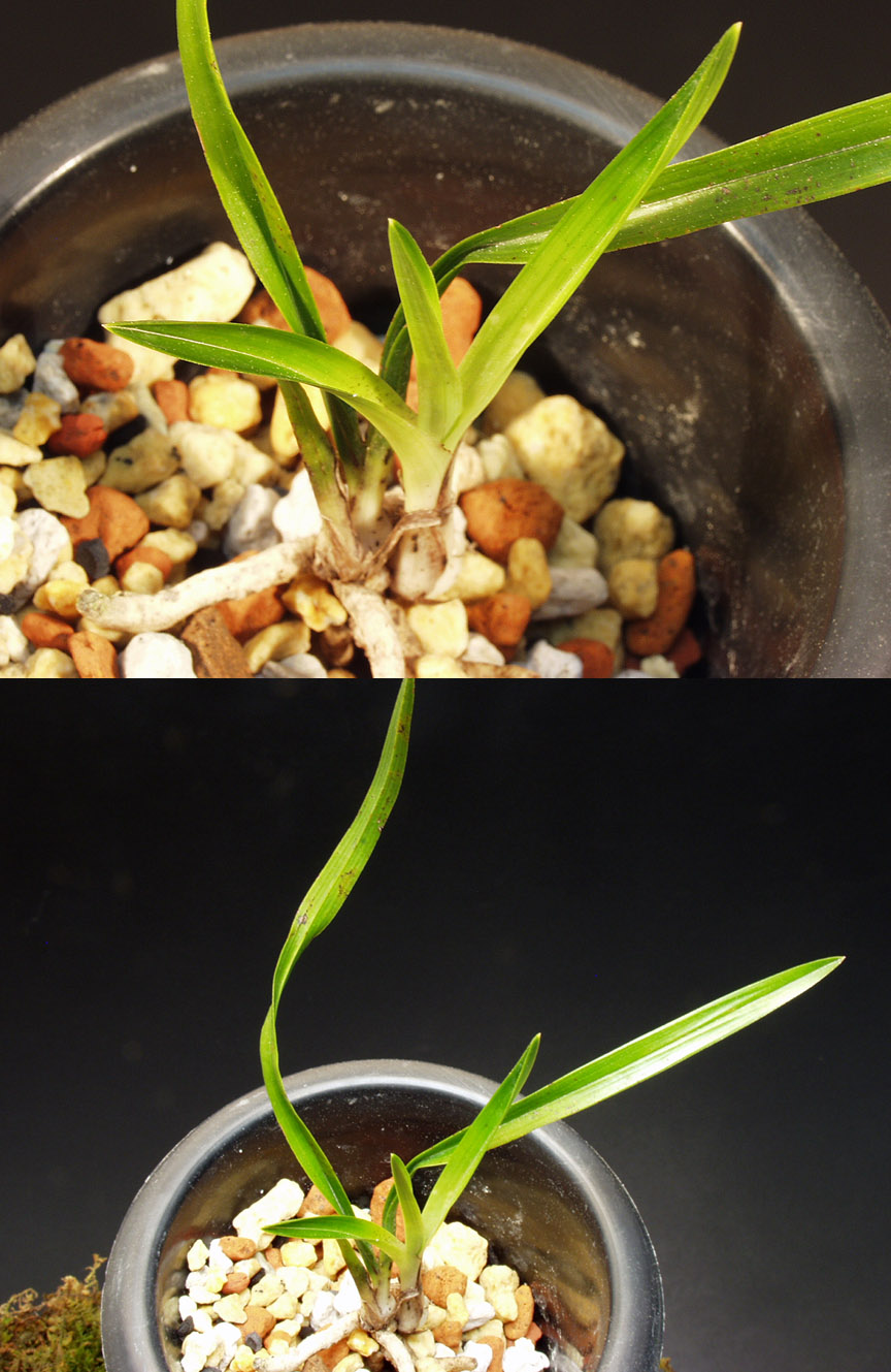 ������ ū������ �� �� �ֽ��ϴ�.