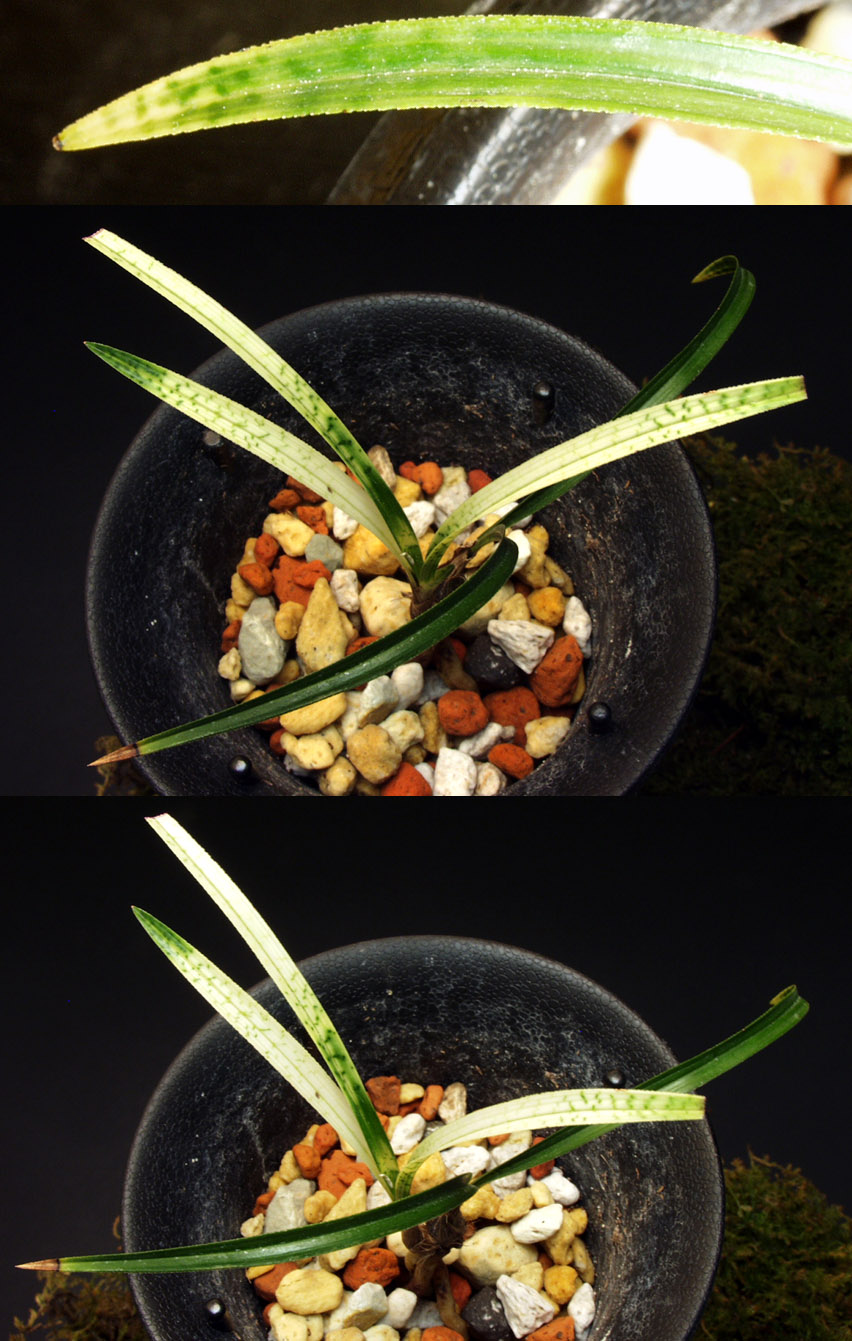 ������ ū������ �� �� �ֽ��ϴ�.